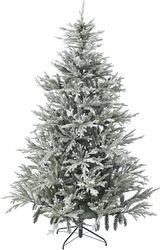 ΔΕΝΔΡΟ SNOWY NORWAY SPRUCE 240EK A I