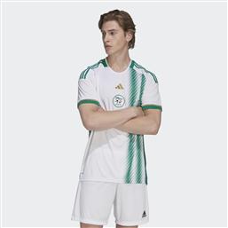 ALGERIA 22 HOME ΑΝΔΡΙΚΗ ΠΟΔΟΣΦΑΙΡΙΚΗ ΦΑΝΕΛΑ (9000176193-75597) ADIDAS