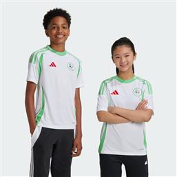 ALGERIA 24 HOME JERSEY KIDS (9000212328-82831) ADIDAS