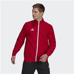 ENTRADA 22 PRESENTATION JACKET (9000120837-1634) ADIDAS