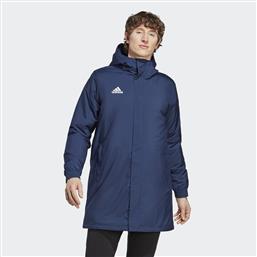 ENTRADA 22 STADIUM ΑΝΔΡΙΚΟ ΑΝΤΙΑΝΕΜΙΚΟ ΜΠΟΥΦΑΝ (9000133440-65879) ADIDAS