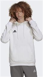 ENTRADA 22 SWEAT HOODIE (9000133504-41996) ADIDAS