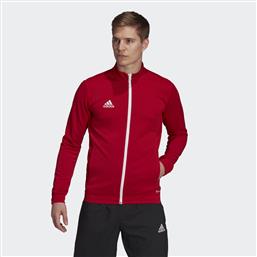 ENTRADA 22 TRACK JACKET (9000120874-1634) ADIDAS