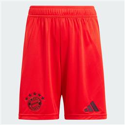 FC BAYERN 24/25 HOME SHORTS KIDS (9000196296-1634) ADIDAS