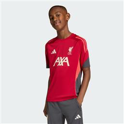 K LIVERPOOL FC TIRO 25 COMPET TRAINING (9000265854-90206) ADIDAS