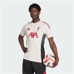 LIVERPOOLΠΟΔΟΣΦΑΙΡΙΚΗ ΦΑΝΕΛΑ (9000236532-54041) ADIDAS