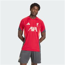 M LIVERPOOL FC TIRO 25 COMPET TRAINING (9000265847-90206) ADIDAS