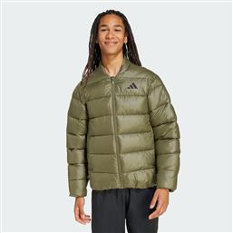 M ESSENTIALS CLIMAWARM SYNTHETIC DOWN JACKETS (9000253562-66178) ADIDAS