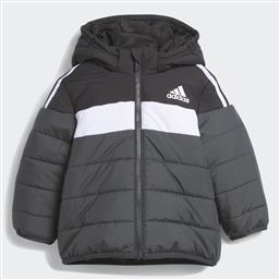 PADDED JACKET KIDS (9000161866-1469) ADIDAS