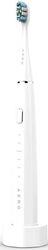 SMART SONIC ELECTRIC TOOTHBRUSH DB1S: WHITE 4MODES +8 SMART WIRELESS CHARGING 46000RPM AENO