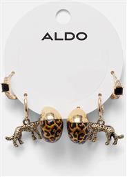 ΣΚΟΥΛΑΡΙΚΙΑ 3-PACK ROARCITY.970 ALDO