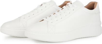 TODDY 14134995 - AL.100 ALDO