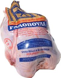 ΓΑΛΟΠΟΥΛΑ ΝΩΠΗ ΑΜΕΡΙΚΑΝΙΚΗΣ ΓΕΩΡΓΙΚΗΣ ΣΧΟΛΗΣ ΓΕΩΡΓΙΚΗ ΣΧΟΛΗ