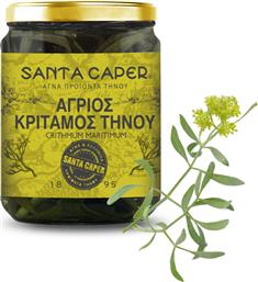 ΚΡΙΤΑΜΟΣ ΤΗΝΟΥ SANTA CAPER (190G) AMHES PHARMA