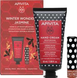 PROMO MOISTURIZING HAND CREAM 50ML & LIP CARE CHESNUT LIP BALM 4.4G APIVITA από το PHARM24