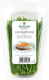 ΣΧΟΙΝΟΠΡΑΣΟ 25G ΑΡΩΜΑ