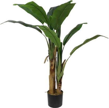 BANANA TREE NP702-145 ΥΨΟΣ 145CM