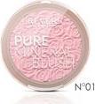 REVERS PURE MINERAL BLUSH 01 BEAUTY BASKET