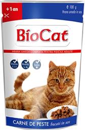 ΦΑΚΕΛΑΚΙ ΓΑΤΑΣ ΨΑΡΙ (100GR) BIOCAT