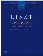 LISZT - VALSE- IMPROMPTU BUDAPEST