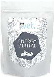 ΤΡΟΦΗ ΤΡΩΚΤΙΚΩΝ GOVET ENERGY DENTAL (1,2KG) BUNNY NATURE