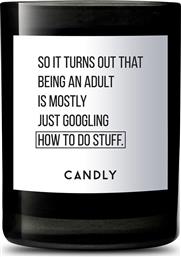 ΑΡΩΜΑΤΙΚΟ ΚΕΡΙ ΣΟΓΙΑΣ SO IT TURNS OUT THAT BEING AN ADULT IS MOSTLY JUST GOOGLING HOT TO DO STUFF CANDLY