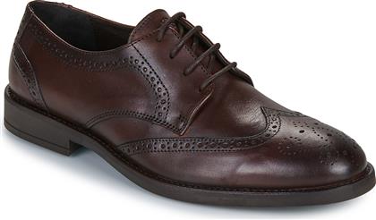 DERBIES LOUVIAN CARLINGTON