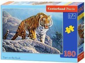 TIGER ON THE ROCK 180 ΚΟΜΜΑΤΙΑ CASTORLAND