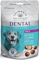 ΣΝΑΚ DENTAL POP CORN ΠΑΠΙΑ (100GR) CELEB FRESHNESS