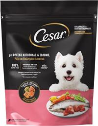 ΣΚΥΛΟΤΡΟΦΗ ADULT ΚΟΤΟΠΟΥΛΟ ΣΟΛΟΜΟ ΛΑΧΑΝΙΚΑ 800G CESAR