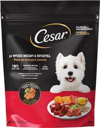 ΣΚΥΛΟΤΡΟΦΗ ADULT ΜΟΣΧΑΡΙ ΠΟΥΛΕΡΙΚΑ ΛΑΧΑΝΙΚΑ 800G CESAR