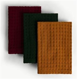 ΣΕΤ ΠΕΤΣΕΤΕΣ ΚΟΥΖΙΝΑΣ ΜΕ WAFFLE PATTERN 30 X 30 CM (3 ΤΕΜΑΧΙΑ) - 007494082 ΠΟΛΥΧΡΩΜΟ COINCASA