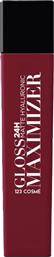 LIP GLOSS MAXIMIZER HYALURONIC A, 4,5GR PLUM 12242B-6 - - NJ-12242B-6 DDONNA COSMETICS