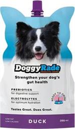 ΙΣΟΤΟΝΙΚΟ ΡΟΦΗΜΑ ΜΕ ΓΕΥΣΗ ΠΑΠΙΑ 250ML DOGGYRADE