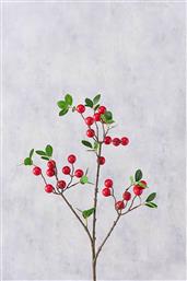 ΧΡΙΣΤΟΥΓΕΝΝΙΑΤΙΚΟ ΔΙΑΚΟΣΜΗΤΙΚΟ ΚΛΑΔΙ ΜΕ ΓΚΙ 76 X 25 CM - 20-99-729 DOMUS HOMUS