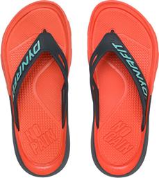 ΣΑΓΙΟΝΑΡΕΣ DYNAFIT