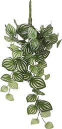 ΤΕΧΝΗΤΟ ΦΥΤΟ ΚΡΕΜΑΣΤΟ 58ΕΚ. PEPEROMIA L.GREEN 1074940 EDELMAN