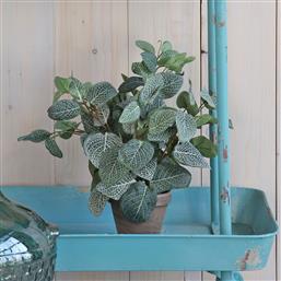 ΤΕΧΝΗΤΟ ΦΥΤΟ ΣΕ ΓΛΑΣΤΡΑ 35ΕΚ. PILEA 966059 EDELMAN