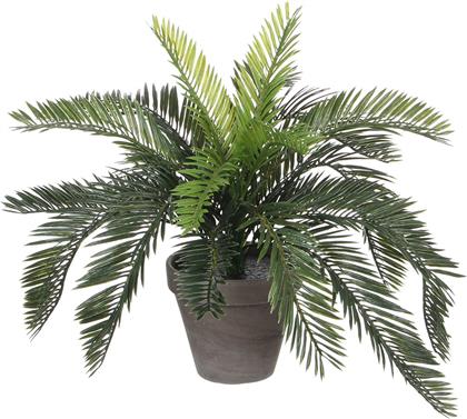 ΤΕΧΝΗΤΟ ΦΥΤΟ ΣΕ ΓΛΑΣΤΡΑ 37ΕΚ. CYCAS 1044529 EDELMAN