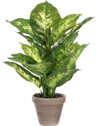 ΤΕΧΝΗΤΟ ΦΥΤΟ ΣΕ ΓΛΑΣΤΡΑ 40ΕΚ. DIEFFENBACHIA 935187 EDELMAN