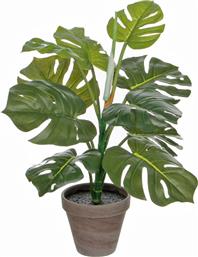ΤΕΧΝΗΤΟ ΦΥΤΟ ΣΕ ΓΛΑΣΤΡΑ 48ΕΚ. MONSTERA 1044541 EDELMAN