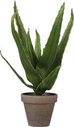 ΤΕΧΝΗΤΟ ΦΥΤΟ ΣΕ ΓΛΑΣΤΡΑ (Φ16X30) ALOE GREEN 1079778 EDELMAN από το SPITISHOP