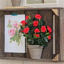 ΤΕΧΝΗΤΟ ΛΟΥΛΟΥΔΙ ΣΕ ΓΛΑΣΤΡΑ 33ΕΚ. ROSEBUSH RED 948333 EDELMAN
