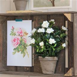 ΤΕΧΝΗΤΟ ΛΟΥΛΟΥΔΙ ΣΕ ΓΛΑΣΤΡΑ 33ΕΚ. ROSEBUSH WHITE 948334 EDELMAN