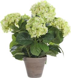 ΤΕΧΝΗΤΟ ΛΟΥΛΟΥΔΙ ΣΕ ΓΛΑΣΤΡΑ 45ΕΚ. HORTENSIA CREAM 947273 EDELMAN