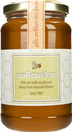 ΜΕΛΙ ΜΥΘΟΜΕΛΙΑ ΑΝΘΗ ΒΟΥΝΟΥ 450G ΕΛΛΗΝΙΚΟ ΜΕΛΙ