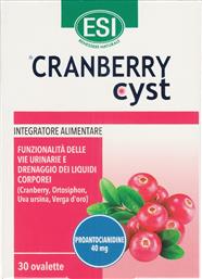 CRANBERRY CYST ΣΥΜΠΛΗΡΩΜΑ ΔΙΑΤΡΟΦΗΣ ΕΚΧΥΛΙΣΜΑΤΟΣ ΚΑΡΠΩΝ CRANBERRY & ΒΟΤΑΝΩΝ ΓΙΑ ΤΗΝ ΚΑΛΗ ΛΕΙΤΟΥΡΓΙΑ ΤΟΥ ΟΥΡΟΠΟΙΗΤΙΚΟΥ & ΑΝΤΙΜΕΤΩΠΙΣΗ ΤΗΣ ΚΑΤΑΚΡΑΤΗΣΗΣ ΥΓΡΩΝ 30TABS ESI