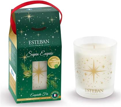 ΑΡΩΜΑΤΙΚΟ ΚΕΡΙ EXQUISITE FIR 180 G ΧΡΩΜΑ: ΠΟΛΥΧΡΩΜΟ ESTEBAN