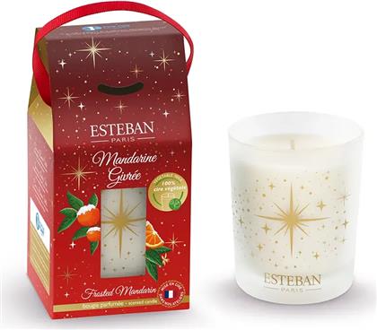 ΑΡΩΜΑΤΙΚΟ ΚΕΡΙ FROSTED MANDARIN 180 G ΧΡΩΜΑ: ΠΟΛΥΧΡΩΜΟ ESTEBAN