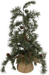 ΔΕΝΤΡΑΚΙ ΙΤΙΑ 54CM 600-46372 EUROLAMP